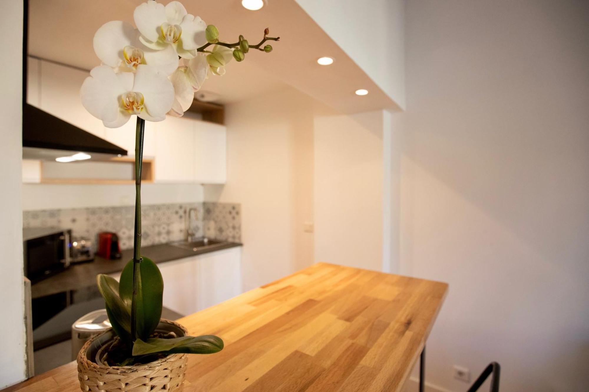 Home Chic Home - Les Toits De Sainte-Ursule Μονπελιέ Εξωτερικό φωτογραφία
